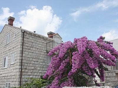 Apartment In Port With Sea View Dubrovnik Exterior foto